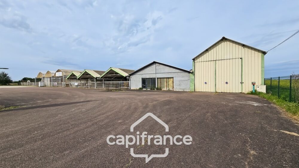 Vente Terrain VENTE TERRAIN 24 893 M²  (71) Gergy