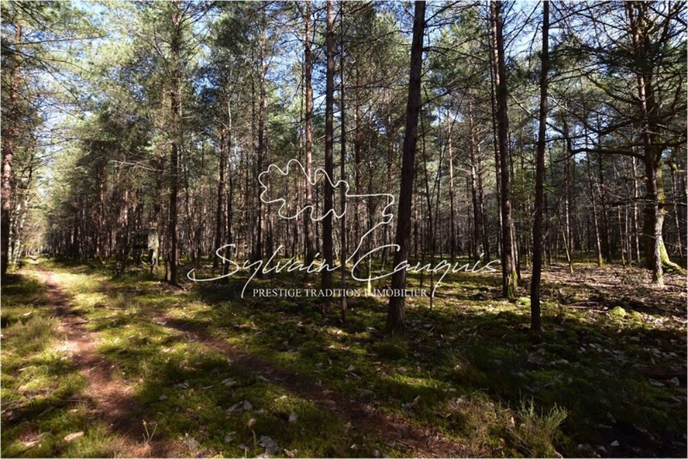 � vendre  Propri�t�/ch�teau Lamotte-Beuvron (41600)