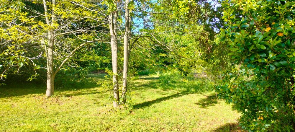 Vente Terrain A vendre Terrain de 2200 m2, plat, arboré et clôturé à SAN NICOLAO (HAUTE CORSE) San nicolao