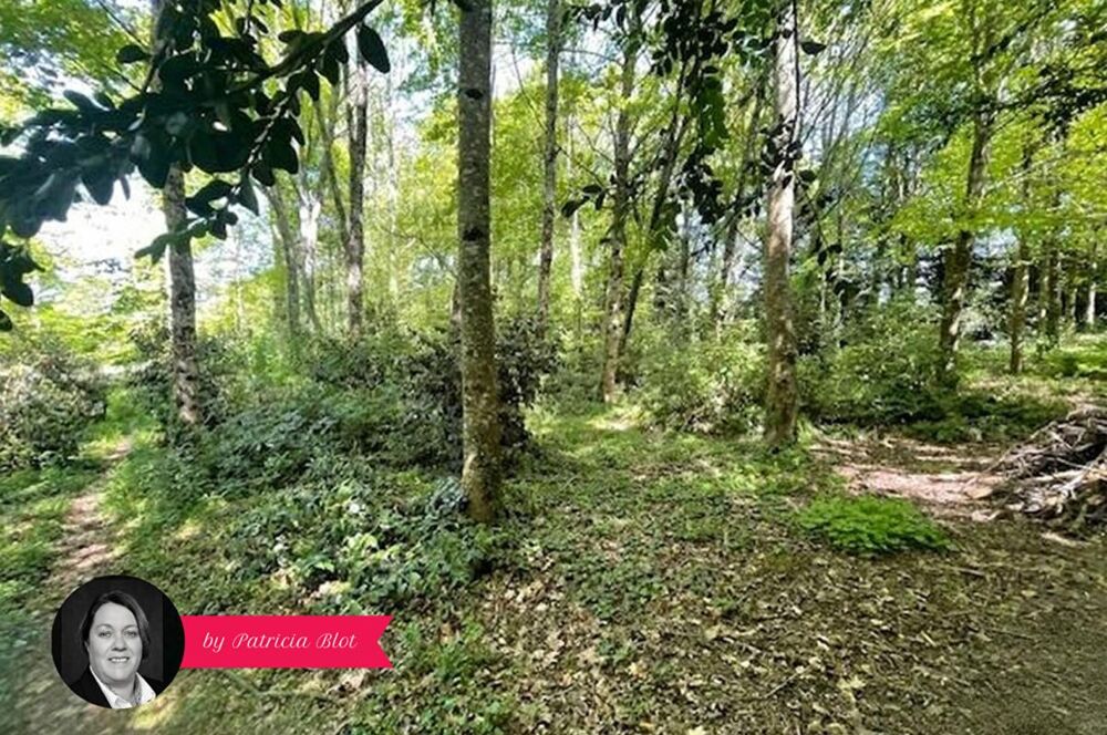 Coup de coeur assuré - Maison familiale 149 m² avec grand terrain arboré