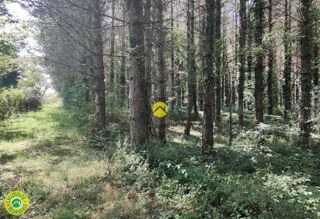  Terrain � vendre 15400 m�