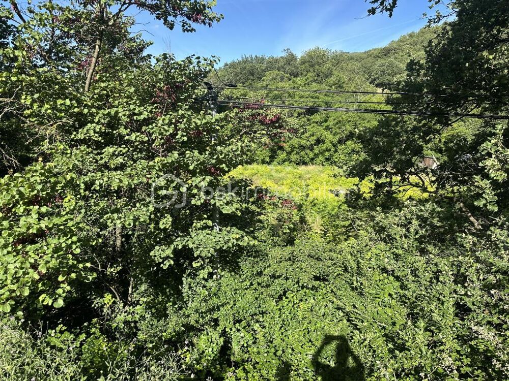 Vente Terrain Magnifique terrain de 3955 m2 dont 1400 m2 constructible Saint montan