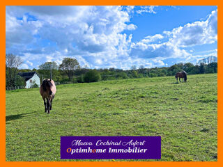  Proprit/chteau  vendre 4 pices 177 m