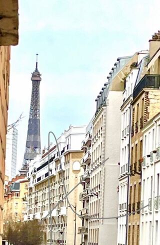  Appartement à louer 1 pièce 14 m²