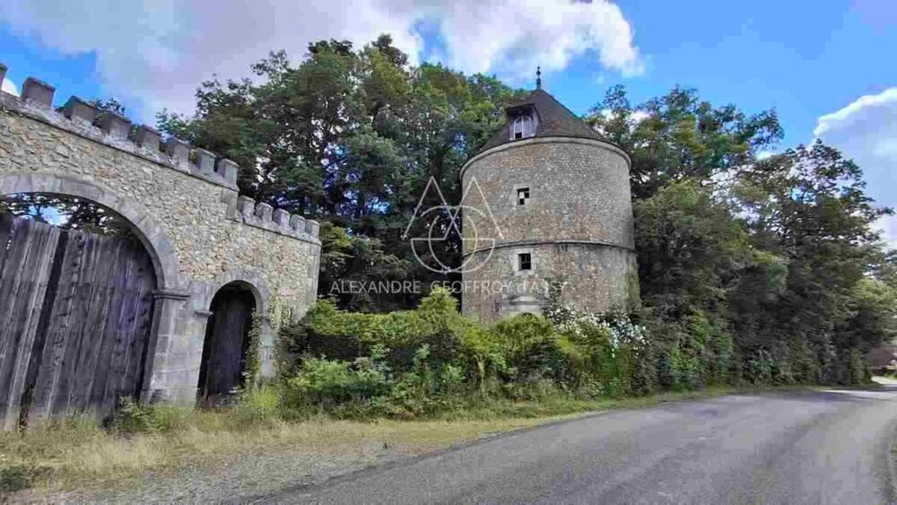 à vendre  Propriété/château Brou (28160)