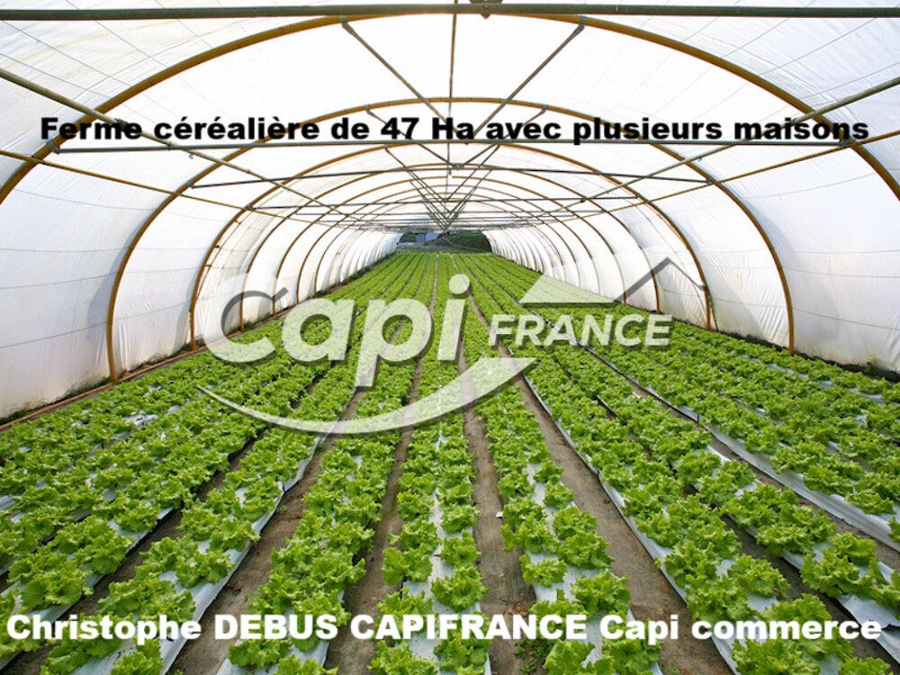 Vente Terrain A vendre, Propriété agricole rare avec terres libre de tous fermage avec leurs DPB et plusieurs bâtiments – Limagne (Auvergne) Thuret