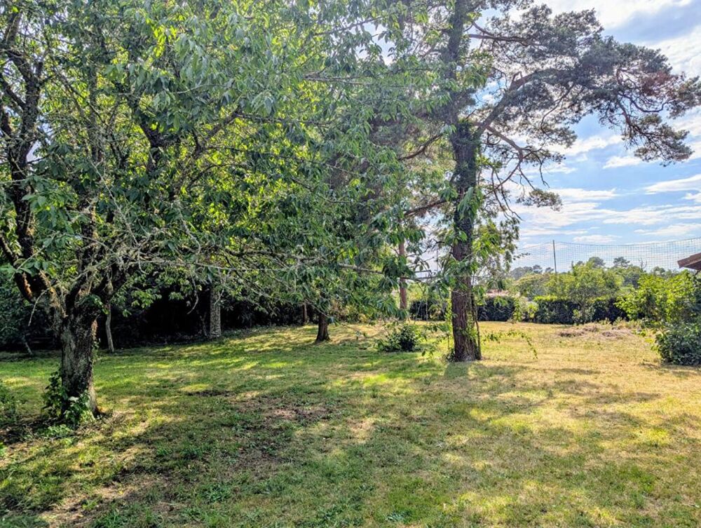 Maison Saugnac Et Muret 7 pièce(s) 222 m2