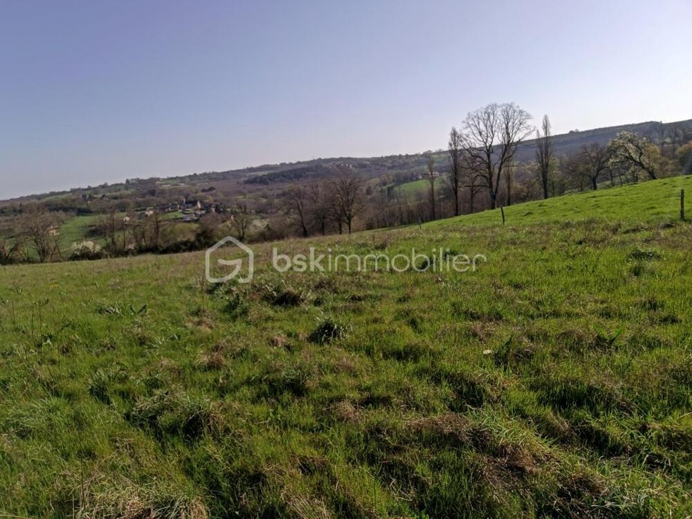 Vente Terrain ? Plus d'un hectare de liberté à Nailhac : Terrain XXL avec double zone constructible ! Nailhac