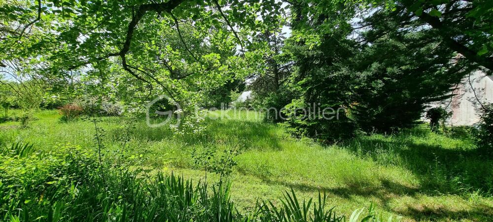 Vente Terrain Terrain constructible de 965 m² à CHEILLE - 4 KM d'Azay-le-Rideau Cheille