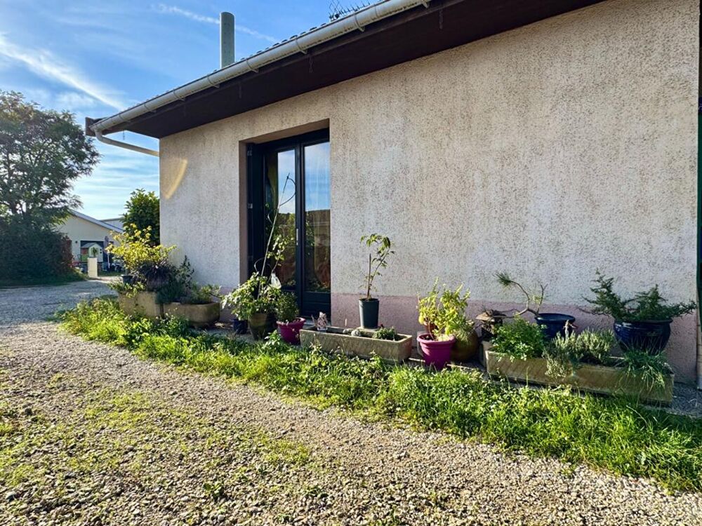 Maison Chassieu 5 pièces 120m2 terrain constructible divisé 897m2