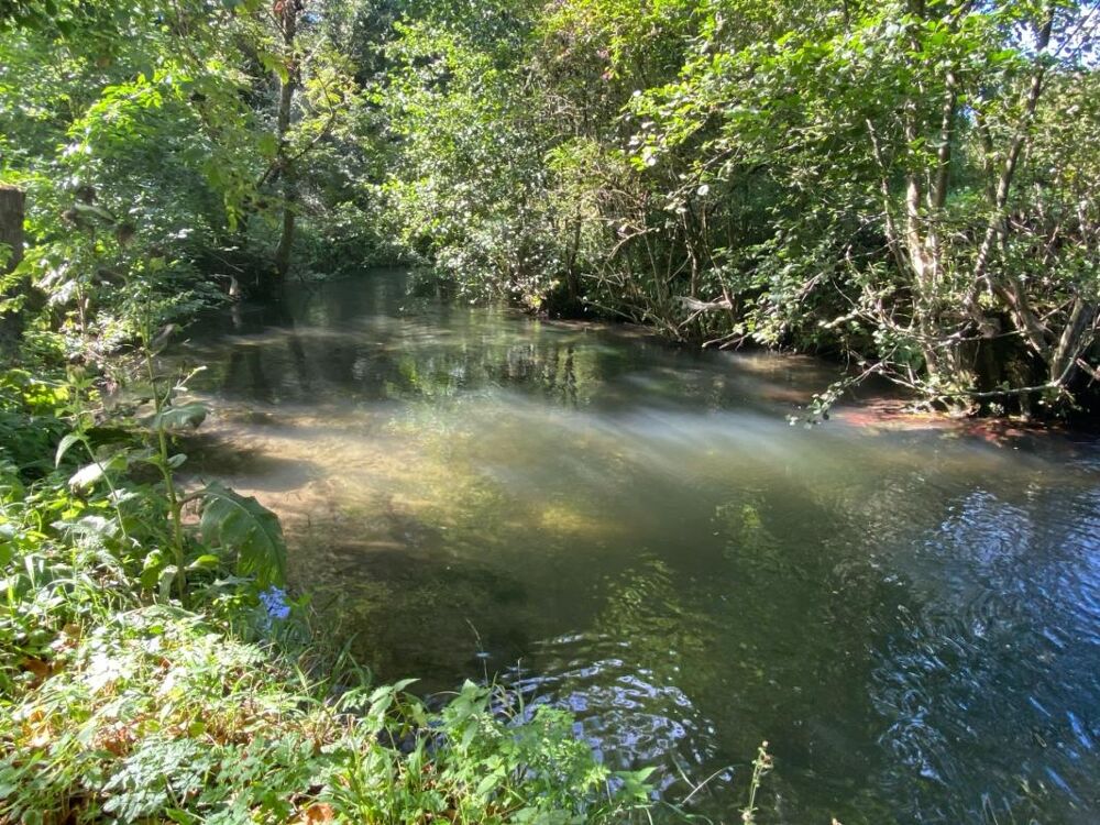 Vente Maison Charme normand et potentiel – Maison de caractère proche Pont-l'Évêque Les authieux sur calonne