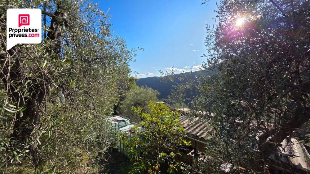 Vente Terrain Magnifique Oliveraie et forêt avec Cabanon en vallée de la Siagne 16190 m2 Saint cezaire sur siagne