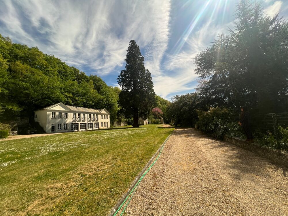 à vendre  Propriété/château Saint-Ouen-les-Vignes (37530)