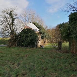  Propri�t�/ch�teau � vendre 1 pi�ce 1 m�