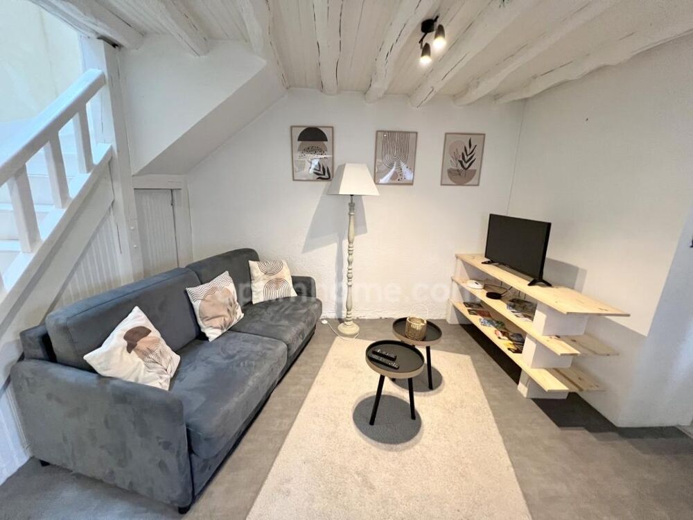 Vente Maison Charmante maison solognote au cœur de Romorantin-Lanthenay, capitale de la Sologne Romorantin lanthenay