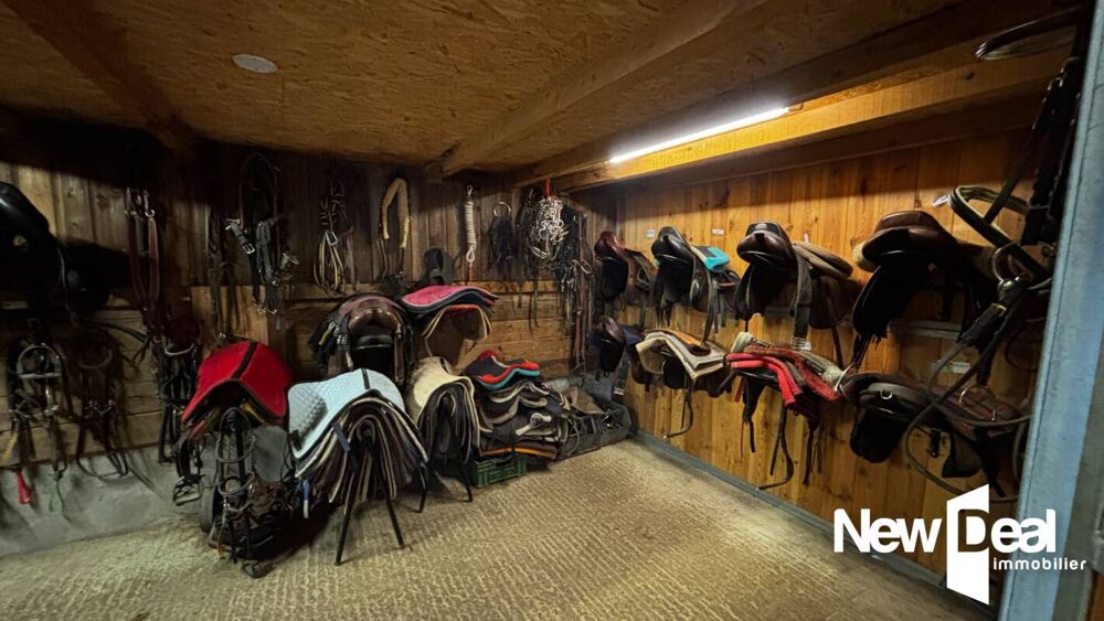  vendre  Proprit/chteau Les Houches (74310)