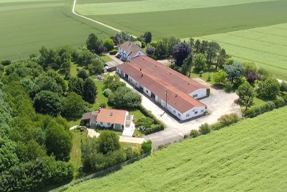 Vente Propriété/Château Propriete à vendre 35 pièces MONTDAUPHIN (77) Montdauphin