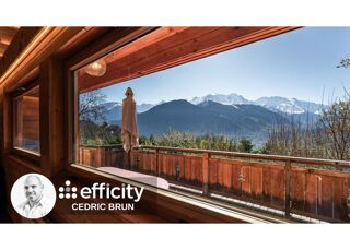  Chalet � vendre 7 pi�ces 251 m�