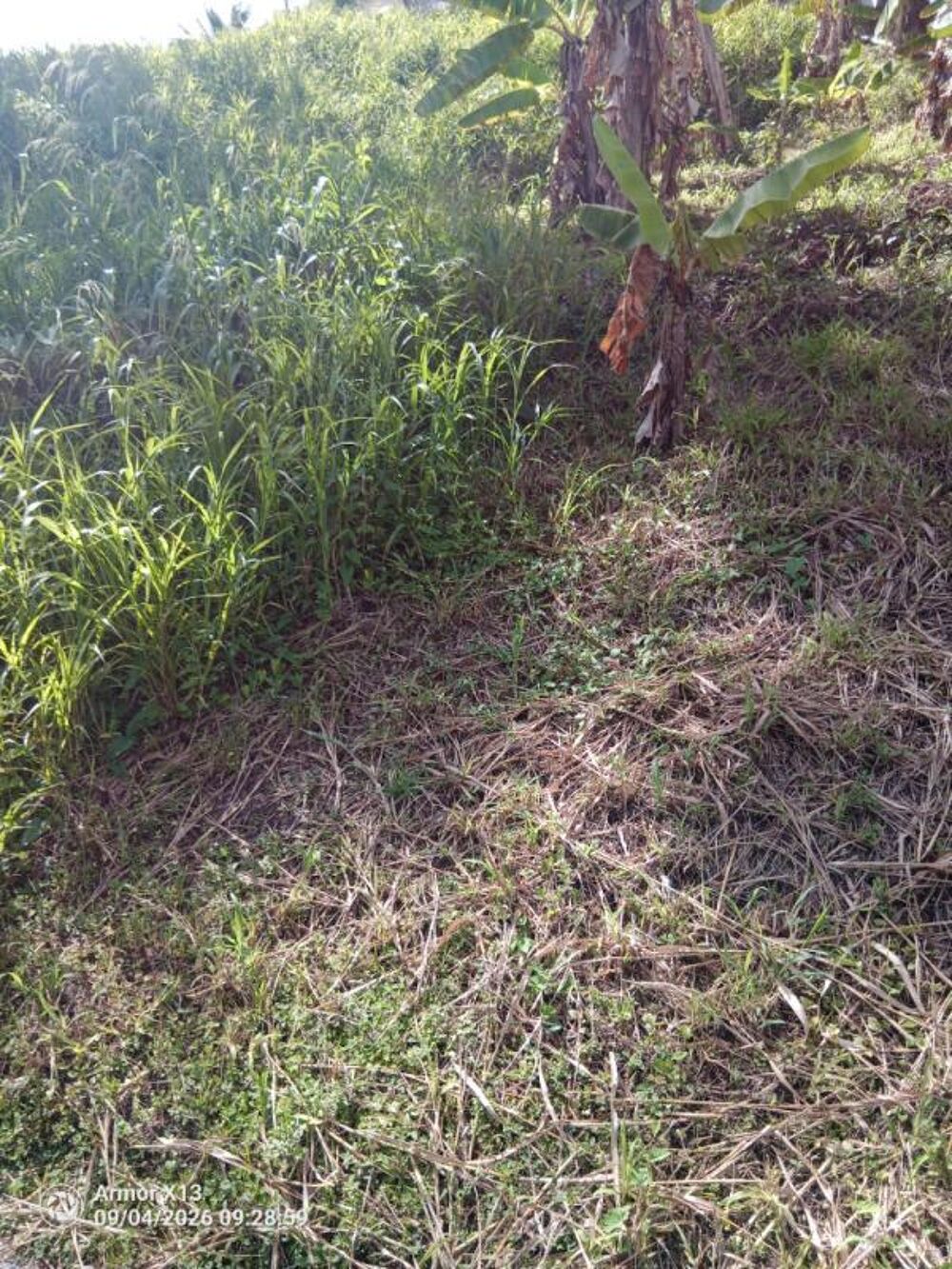 Vente Terrain Terrain de 689 m 2 a vendre au francois Le francois