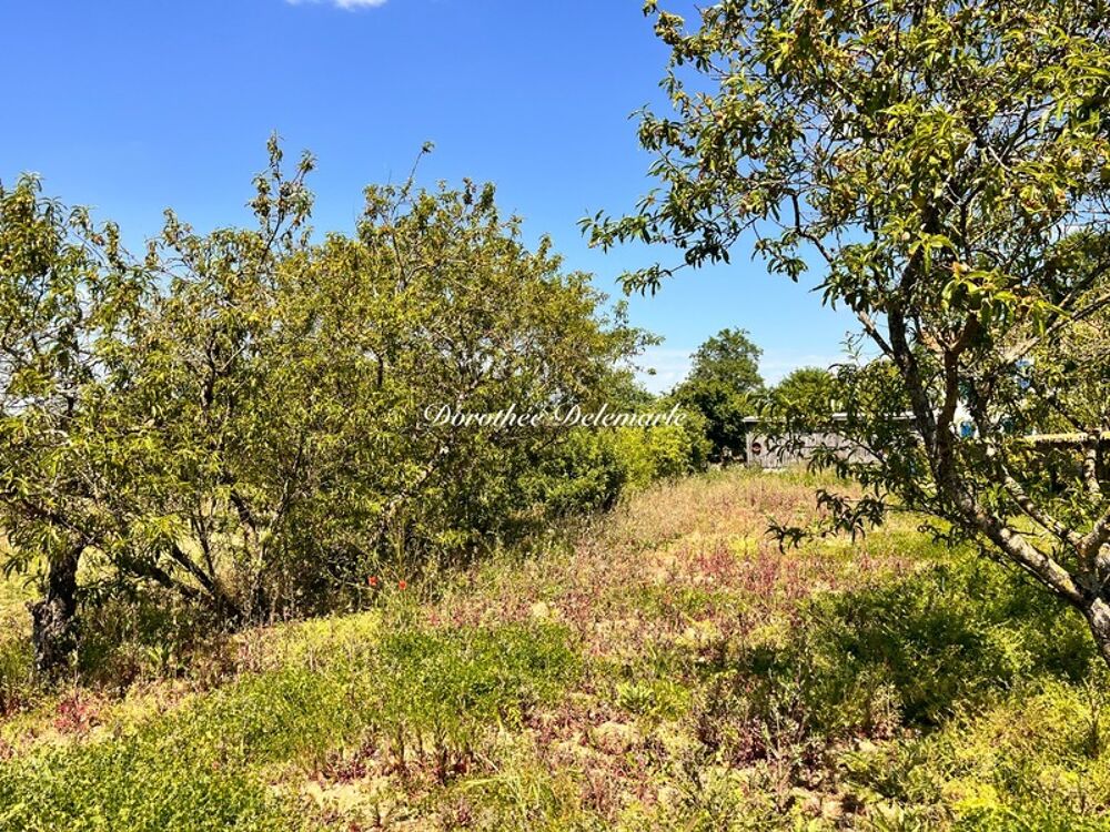 Vente Terrain Terrain à vendre  SAINT MARD (17)Grand terrain constructible de 2075 m² – Environnement calme avec arbres fruitier Saint mard