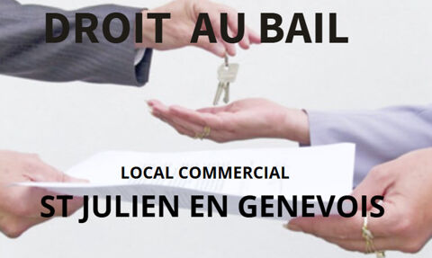 Commerces/Negoce 75000 74160 Saint julien en genevois