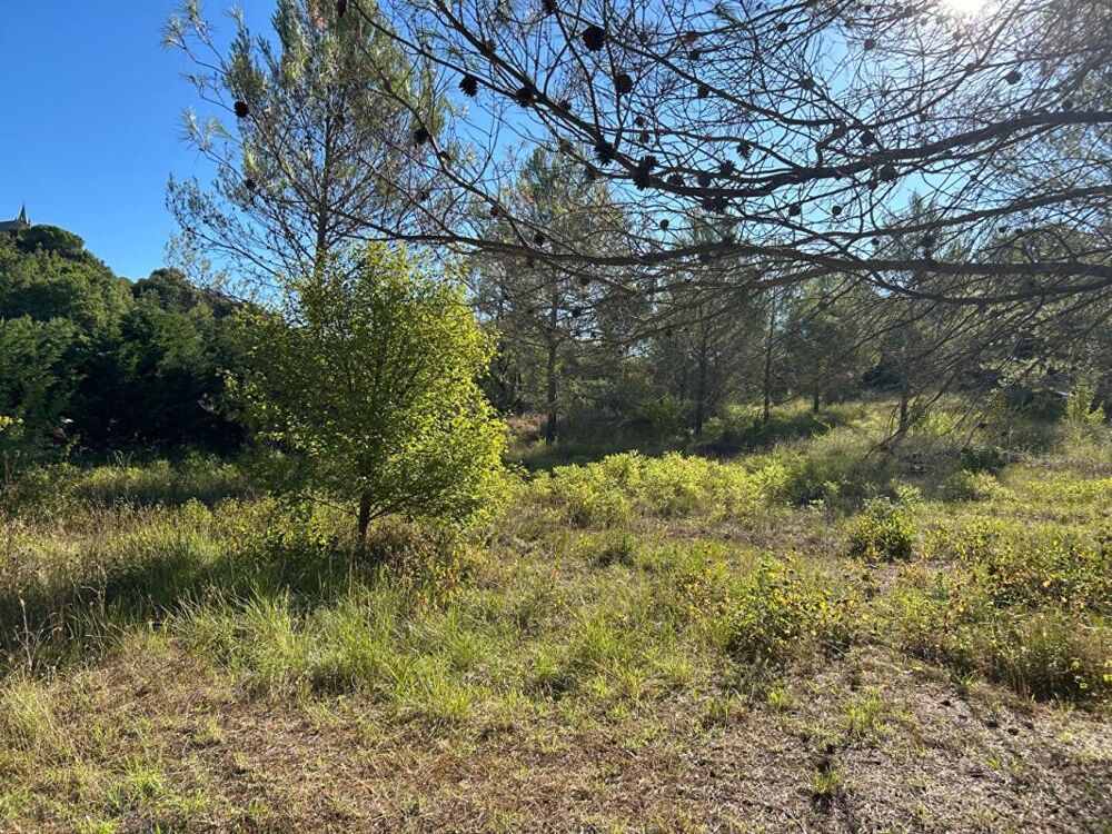 Vente Terrain Terrain Tourves 2798 m2 Tourves