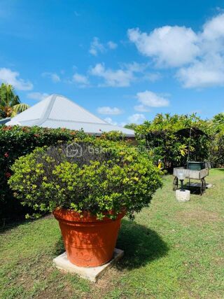  Propriété/château à vendre 13 pièces 303 m²