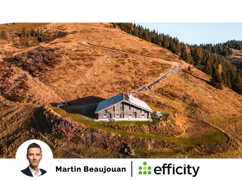  vendre  Chalet Megve (74120)