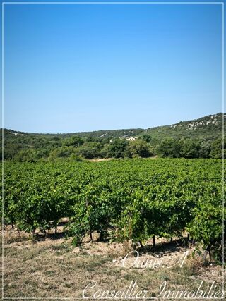  Maison � vendre 6 pi�ces 210 m�