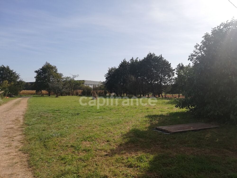Dpt Sarthe (72), à vendre ALLONNES - POUR INVESTISSEURS - maison P6 SH 180m2 - terrain 2841 m2