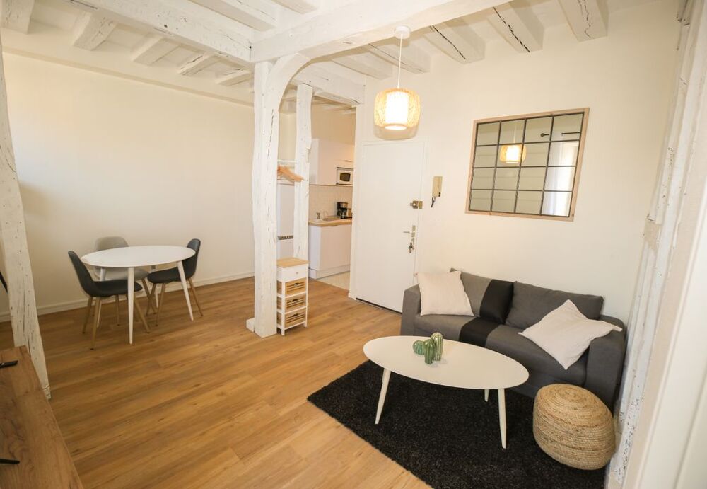 Location Appartement Appartement de 49m2 à louer sur Vierzon Vierzon