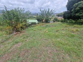 Vente Terrain Belle parcelle sur la commune du François Le francois