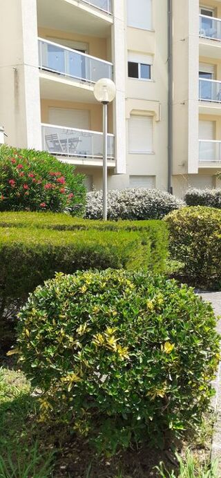 Location Appartement Studio de 30m2 à louer sur Mérignac Merignac