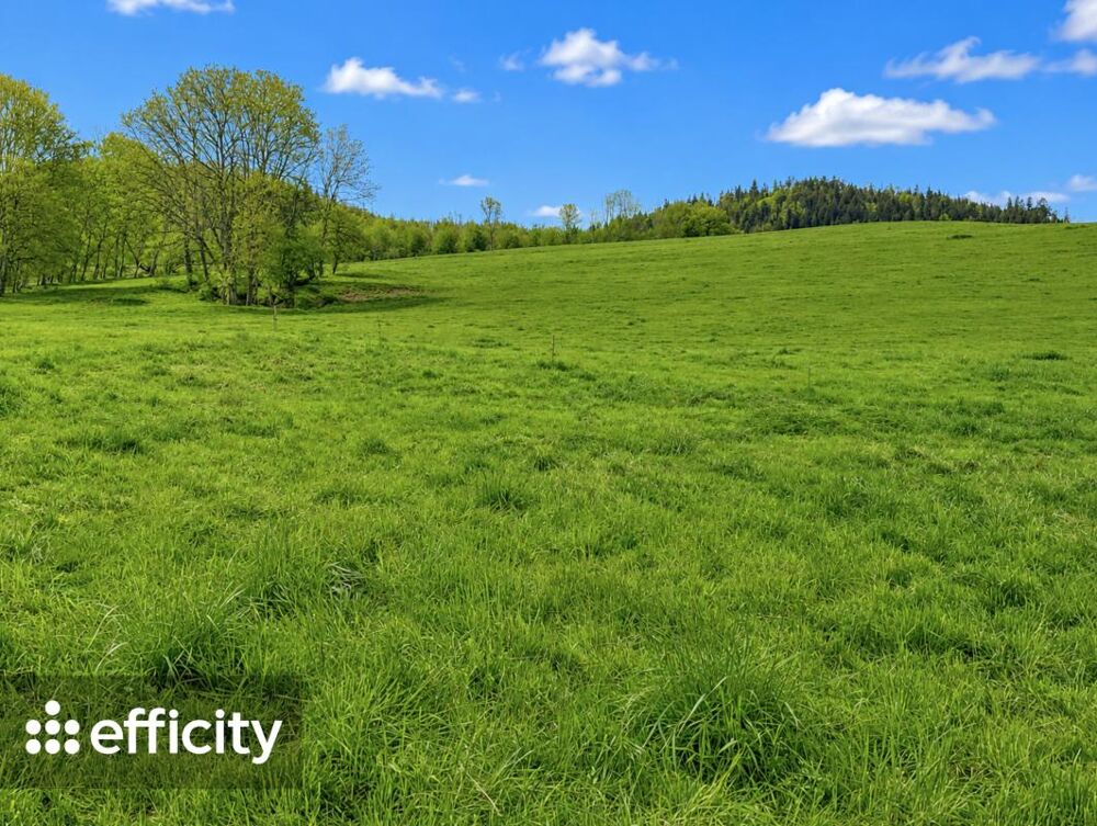 Vente Terrain Terrain Saint jean de tholome