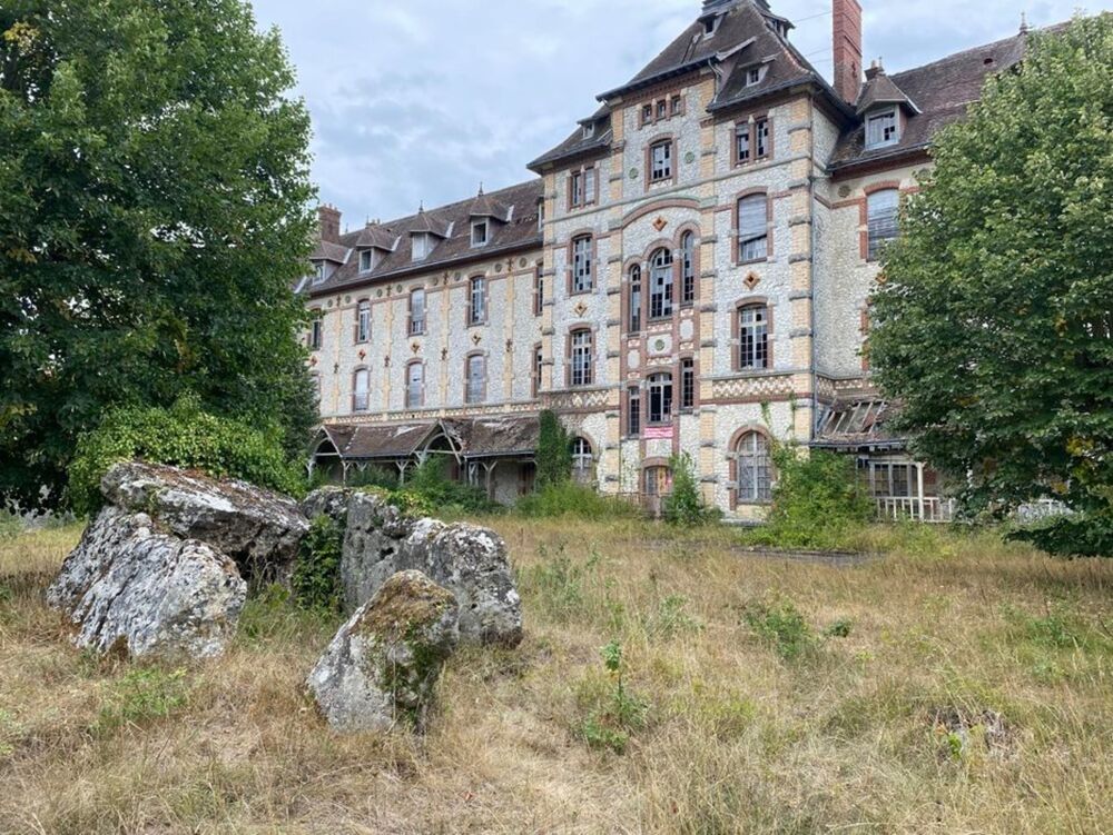 à vendre  Propriété/château Tours (37000)
