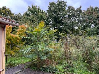  Appartement  vendre 4 pices 75 m