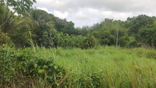  Terrain � vendre 669 m�