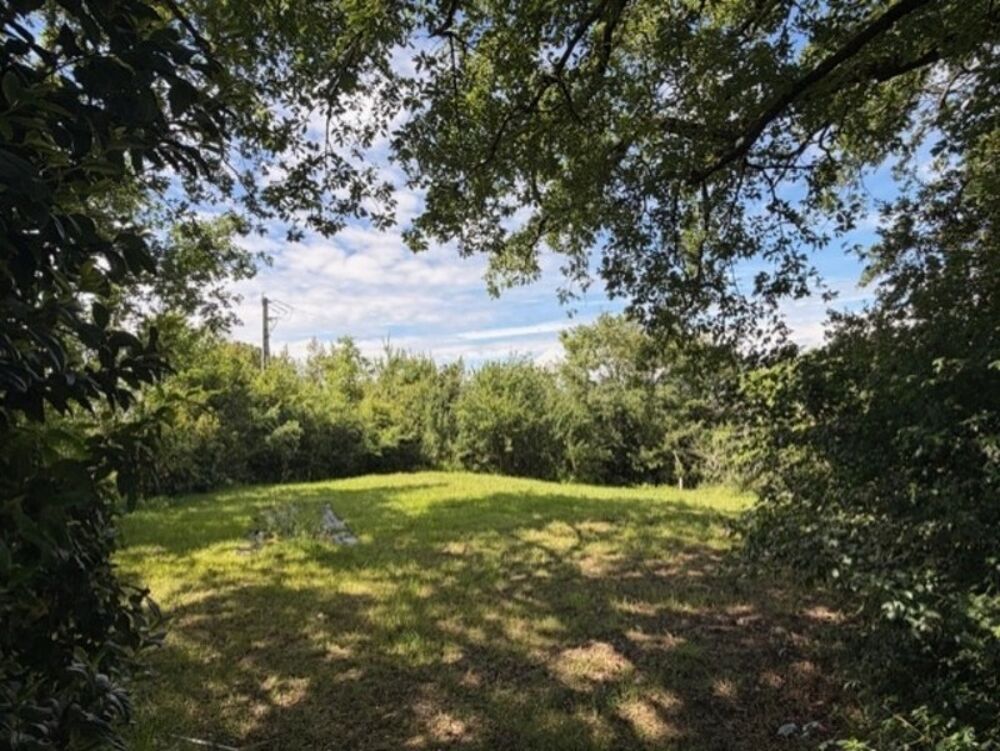 PLAISANCE (32)proche: BELLE MAISON DE CAMPAGNE rénovée 170m2, économique, sans VOISIN, au CALME, jardin 3300m2 clos, dependance