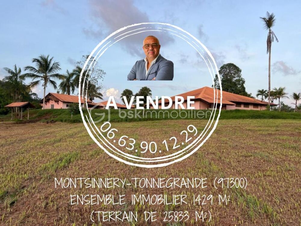 Vente Immeuble 97356 – MONTSINÉRY-TONNÉGRANDE – SITE D'EXCEPTION À RÉHABILITER – 2,58 HECTARES – 1 429 m² DE BÂTI Montsinery tonnegrande