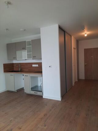  Appartement à louer 1 pièce 29 m²