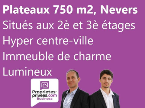 NEVERS CENTRE-VILLE - 2 PLATEAUX , BUREAUX OU LOGEMENTS 750 M² 530000 58000 Nevers