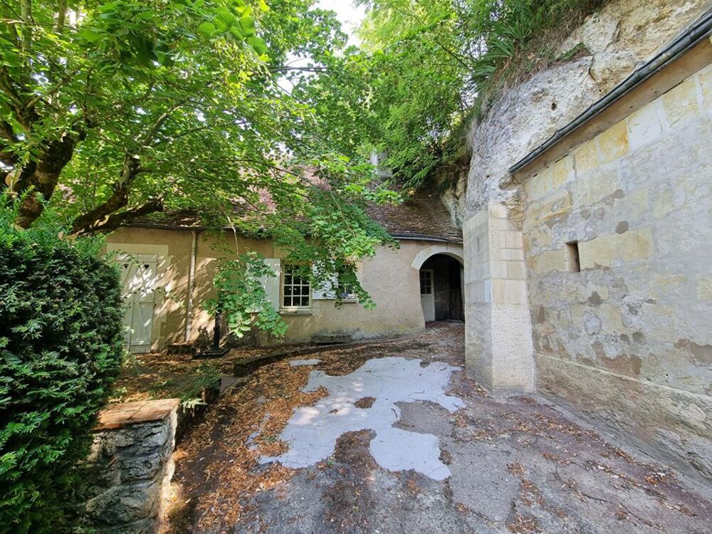 Vente Propriété/Château MANOIR A LA CHARTRE SUR LE LOIR  ET SES CAVES EXCEPTIONNELLES La chartre sur le loir
