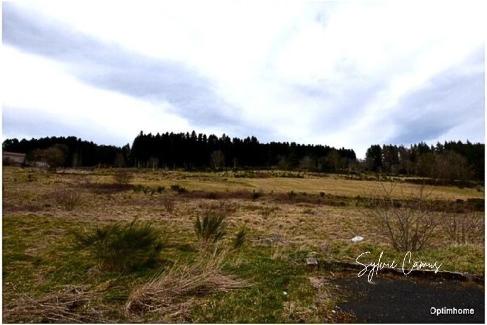 Vente Terrain Terrain à vendre de 1 018,00 m² DUNIERES (43) Vue dégagée – Cadre paisible – Proche commodités Dunieres