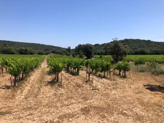  Terrain � vendre 43000 m�