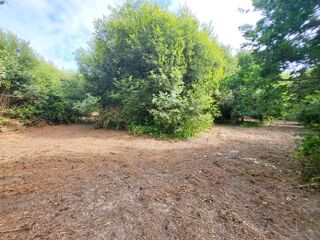  Terrain à vendre 14090 m²