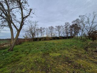  Terrain à vendre 1500 m²