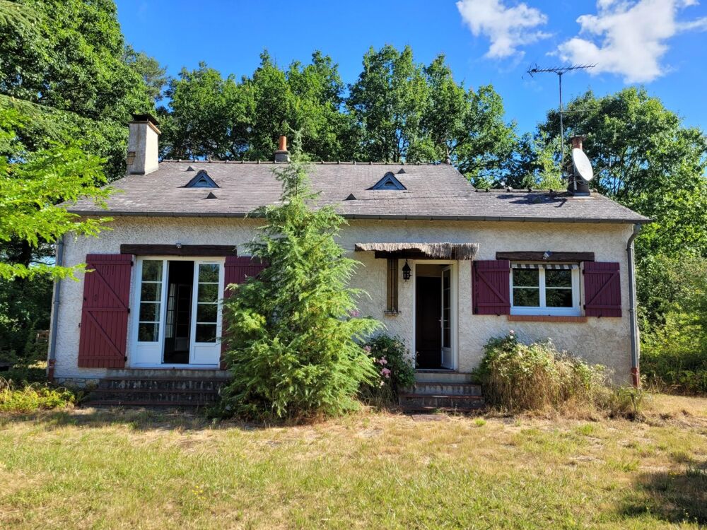 Maison / Pavillon 74 m2 + Combles aménagés NANCAIS ( 18 )