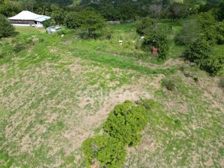  Terrain  vendre 1919 m