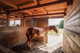  Propri�t�/ch�teau � vendre 8 pi�ces 352 m�