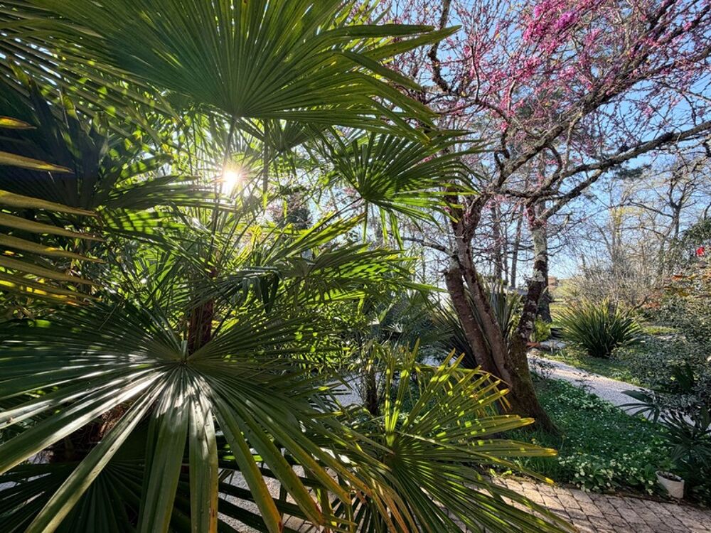 Maison 8 pièces 284 m² · à Sainte Christie D Arma... · 284 m² · 572 000 €